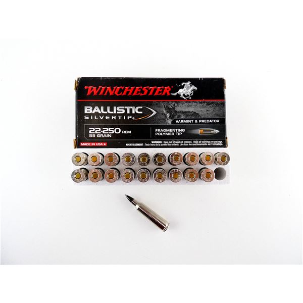 WINCHESTER BALLISTIC SILVERTIP .22-250 REM AMMO LOT
