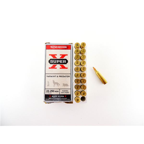 WINCHESTER .22-250 REM AMMO LOT