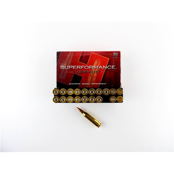 HORNADY .243 WIN AMMO LOT