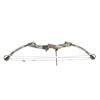 Image 2 : CARTON USA LH COMPOUND BOW LOT