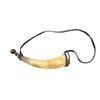 Image 1 : BLACK POWDER HORN