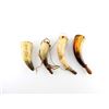 Image 1 : ASSORTED BLACK POWDER HORNS LOT