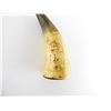 Image 3 : ASSORTED BLACK POWDER HORNS LOT