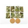Image 2 : CANADIAN SPECIAL OPERATIONS REGIMENT SLIP-ONS, ETC. LOT