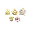 Image 3 : ASSORTED CANADIAN MILITARY BADGES LOT