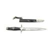 Image 1 : WWII GERMAN 1936 1ST MODEL RLB DAGGER