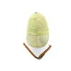 Image 2 : CANADIAN / BRITISH MILITARY PITH HELMET