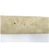 Image 6 : VICTORIAN ERA CANADIAN GOVERNOR GENERAL'S BODY GUARD SLADE WALLACE BELT