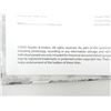 Image 4 : "COMBAT HISTORY OF STURMPANZER-ABTEILUNG 217" BOOK