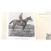 Image 4 : "HAIG: MASTER OF THE FIELD" BOOK