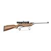 Image 1 : BEEMAN 1040 SERIES .22 CAL. PELLET RIFLE
