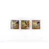 Image 1 : ASSORTED COCALL MICRO SD MOOSE CALL LOT