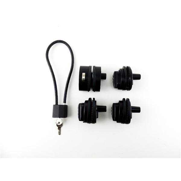 ASSORTED COMBINATION TRIGGER / CABLE LOCK LOT