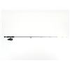 Image 1 : BERKLEY POWER POLE CASTING ROD WITH MITCHELL REEL