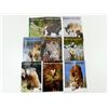 Image 1 : ASSORTED "THE VARMINT HUNTER" MAGAZINE SERIES LOT