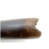 Image 8 : LEE ENFIELD NO. 4 BUTT STOCKS LOT