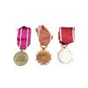 Image 2 : PRE-WWII / WWII ASSORTED POLISH MILITARY MEDALS LOT