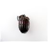Image 1 : WWII CANADIAN / BRITISH NO.36 MKI MILLS BOMB INERT