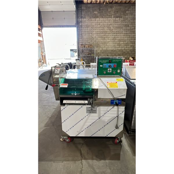 TECHIN KOREA COMMERCIAL KIMCHI MACHINE MODEL TT-2020H