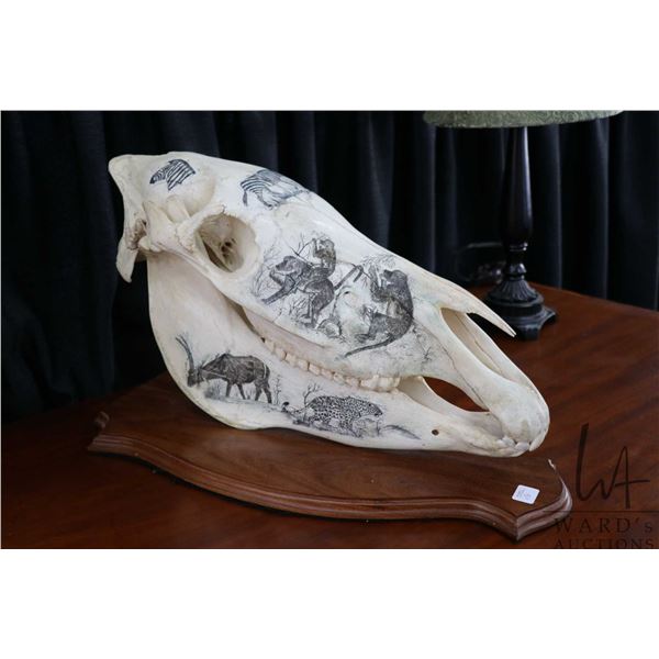 Vintage horse skull with decorative scrimshaw drawing featuring African animals including giraffes, 