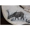 Image 3 : Vintage horse skull with decorative scrimshaw drawing featuring African animals including giraffes, 