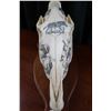 Image 8 : Vintage horse skull with decorative scrimshaw drawing featuring African animals including giraffes, 