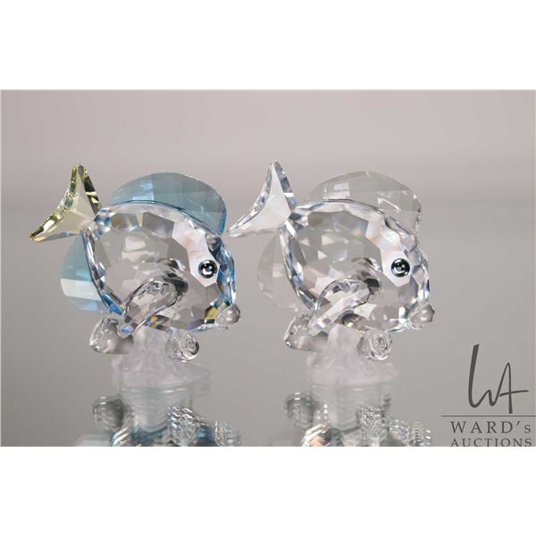 Two Swarovski crystal "Blue Tang Fish" no. 886180 and 883822 each 2 1/2" in height. Includes one mir