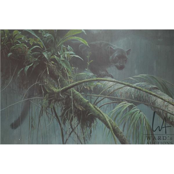Robert Bateman, framed limited edition print titled "Shadow of the Rainforest- Black Jaguar", C.E. 3