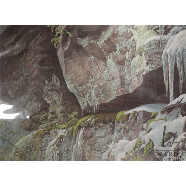 Robert Bateman, unframed limited edition print titled "At the Cliff-Bobcat" , C.E. 2201/3500, pencil
