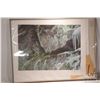 Image 2 : Robert Bateman, unframed limited edition print titled "At the Cliff-Bobcat" , C.E. 2201/3500, pencil
