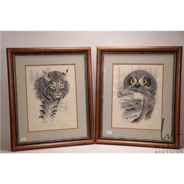 Randy Fehr, two framed limited edition prints including "Snowy Owl Chick" 9/10 and "Bobcat " 9/10, b