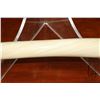 Image 6 : Male Narwhal tusk with nice even twist, good colouring, fairly straight and slightly rounded but not