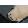 Image 3 : Polar bear rug on black wool backer, 83" tail to nose, left front paw 8" across and 5" claw to claw