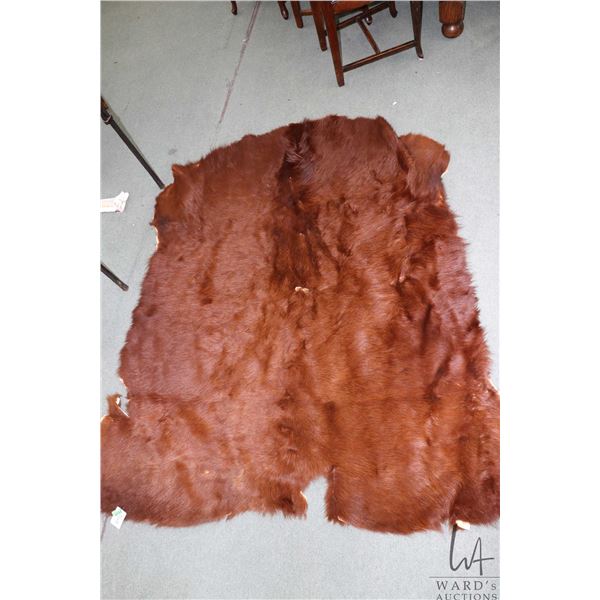 Tanned animal hide, appears to be a highland cattle rug, approximately 68" X 63"
