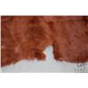 Image 3 : Tanned animal hide, appears to be a highland cattle rug, approximately 68" X 63"