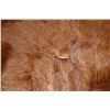 Image 5 : Tanned animal hide, appears to be a highland cattle rug, approximately 68" X 63"