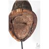 Image 5 : Hand carved Punu mask, purportedly originating from the Punu people of Gabon South Africa, 18 1/2" i
