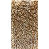 Image 2 : ORANGE APPROX 4' X 6' AREA RUG