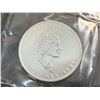 Image 22 : CANADIAN MAPLE LEAF $5 SILVER COINS - PACK OF 10 - EACH COIN IS 1 TROY OUNCE OF .9999 FINE SILVER
