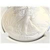 Image 3 : AMERICAN SILVER EAGLE - 2024 MS69