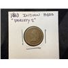 Image 9 : INDIAN HEAD CENTS - LOT OF 2; ONE FROM THE FIRST YEAR OF MINTING - 1859! ONE FROM 1863 - MINTED DURI