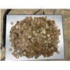 Image 4 : LOT OF WHEAT PENNIES - LOT OF 11 POUNDS OF PENNIES