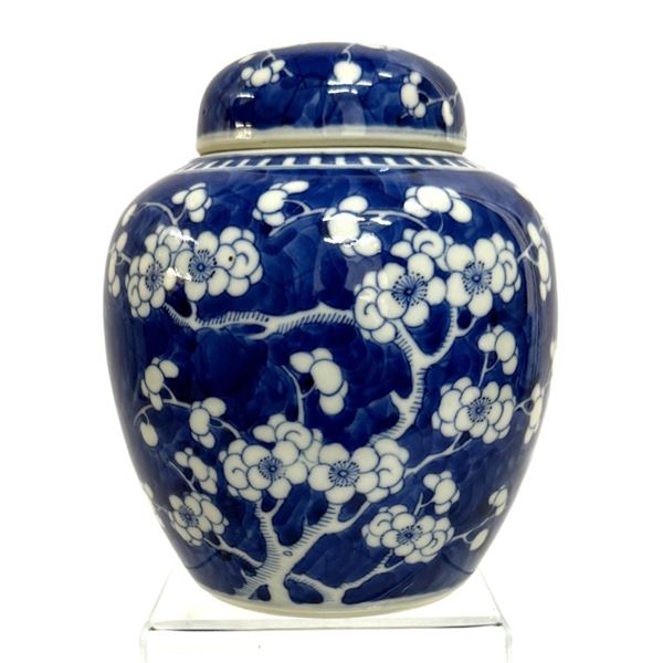 Qing Prunus Blossom Blue & White Ginger Jar