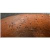 Image 8 : PRE-COLUMBIAN POTTERY JAR