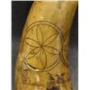 Image 19 : COLLECTION OF  ANTIQUE POWDER HORNS