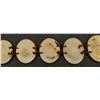 Image 8 : SHELL CONCHOS BELT