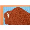 Image 5 : PLAINS BEADED BUFFALO