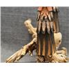 Image 8 : HOPI KACHINA (CURTIS NASEYOWMA)