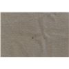 Image 18 : MOHAWK TEPEE WOOL POINT TRADE BLANKET