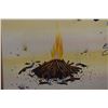 Image 12 : PAPAGO PAINTING (MICHAEL CHIAGO)